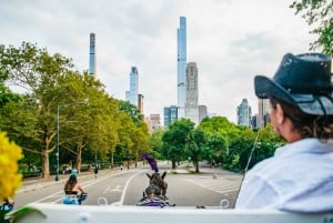 NYC: Guided Central Park Horse Carriage Ride