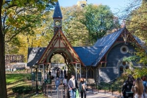 NYC: (60 min): Opastettu Central Park yksityinen polkupyöräkierros (60 min)