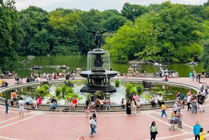 NYC: Guidad privat tur med cykeltaxi i Central Park (60 min)