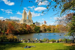 NYC: Visita guiada en bicitaxi privado por Central Park (60 min.)