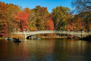 NYC: Begeleide Central Park privétour met fietstaxi (60 min)