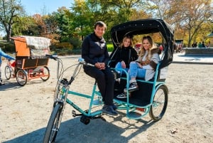 NYC: Guidet privat tur med cykeltaxi i Central Park (60 minutter)