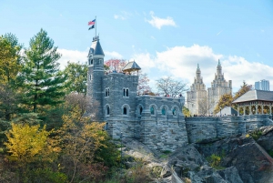 NYC : Visite guidée de Central Park en cyclo-pousse privé (60 mins)