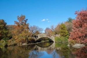 NYC: ガイド付きセントラル パーク プライベート ペディキャブ ツアー (60 分)