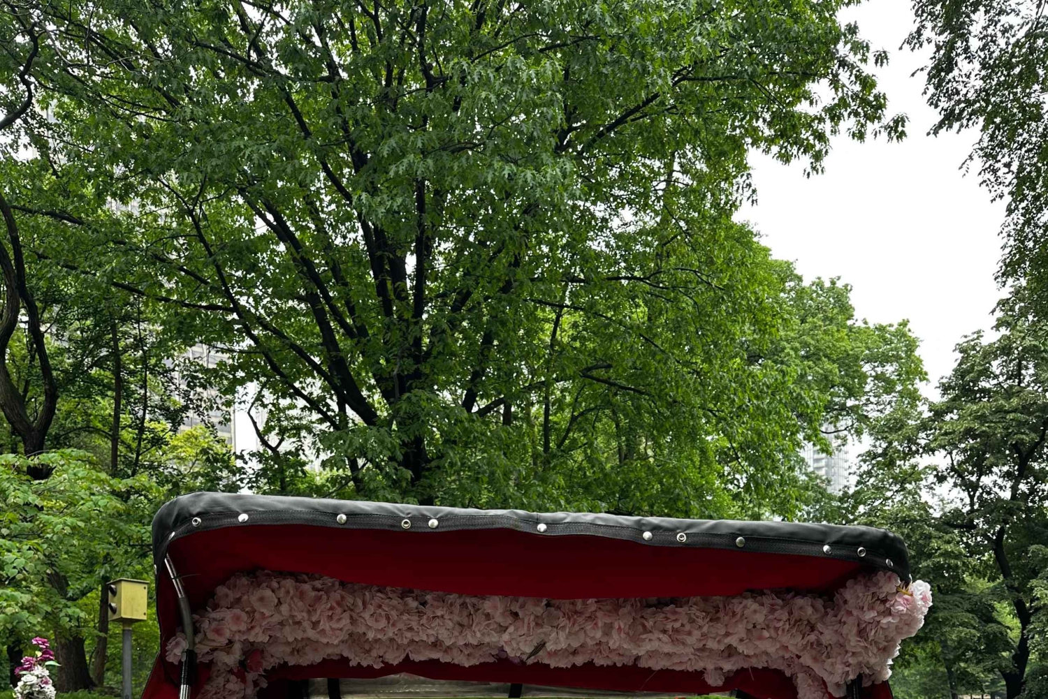 NYC : visite guidée de luxe en vélo-taxi dans Central Park