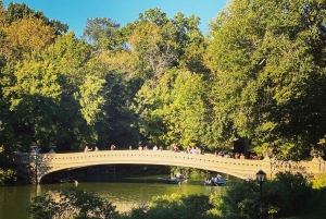 NYC : visite guidée de luxe en vélo-taxi dans Central Park