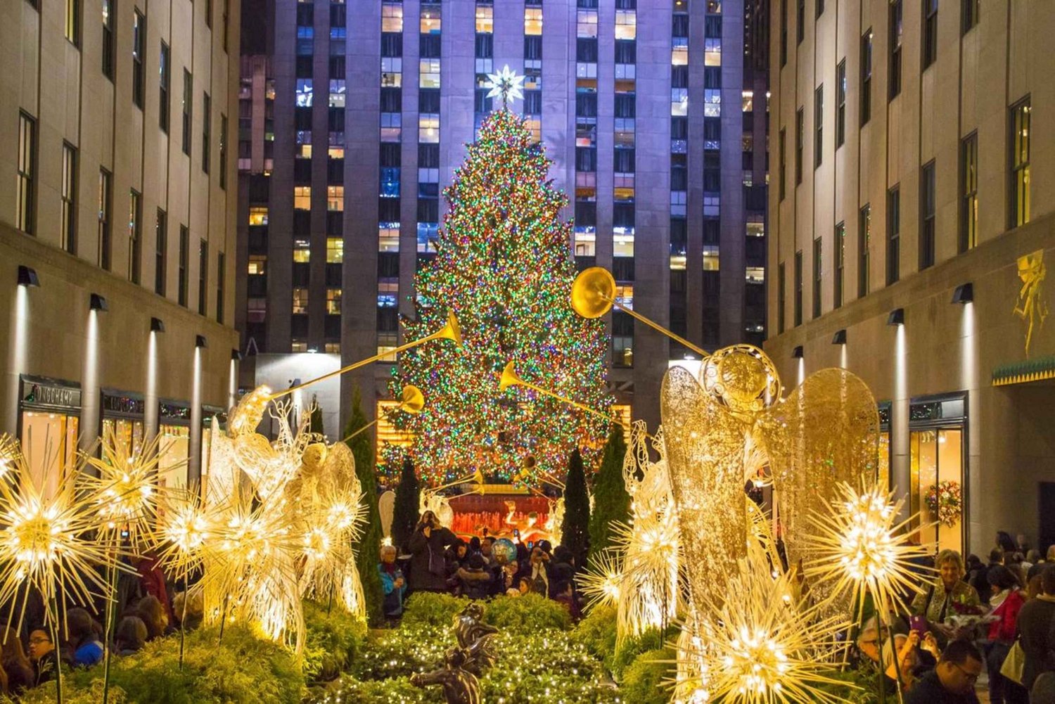 NYC: Guidet Holiday Lights aftentur med åben bus