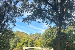 NYC: Geführte Tretauto-Tour durch den Central Park