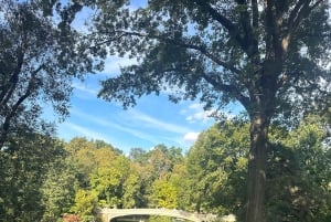 NYC: Visita guiada en bicitaxi por Central Park