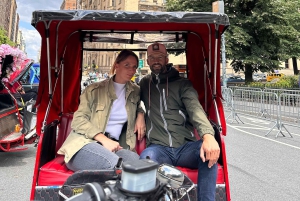 NYC: Visita guiada en bicitaxi por Central Park