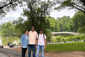 NYC: Visita guiada en bicitaxi por Central Park