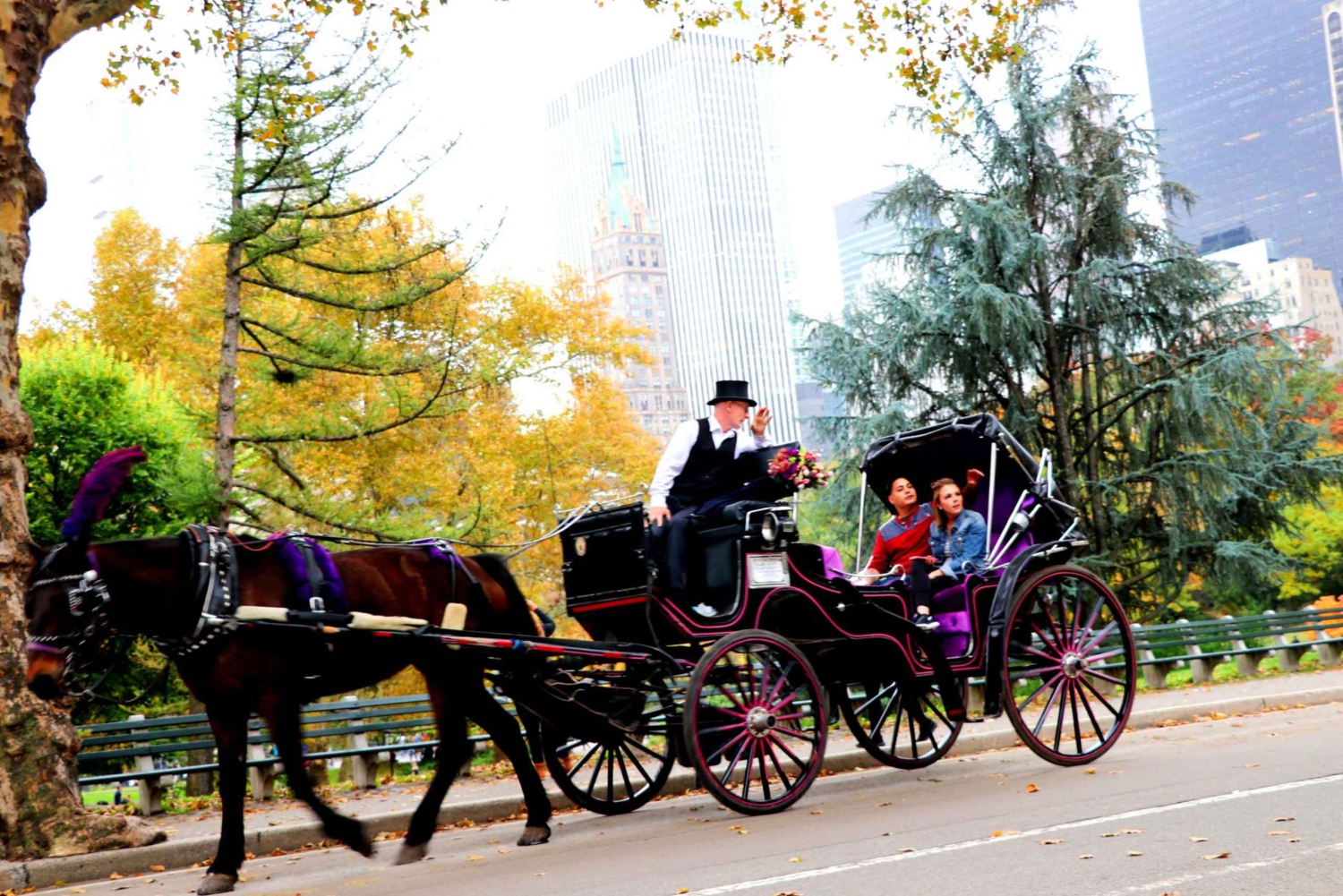 NYC: Guidad standardtur med vagn i Central Park (4 vuxna)