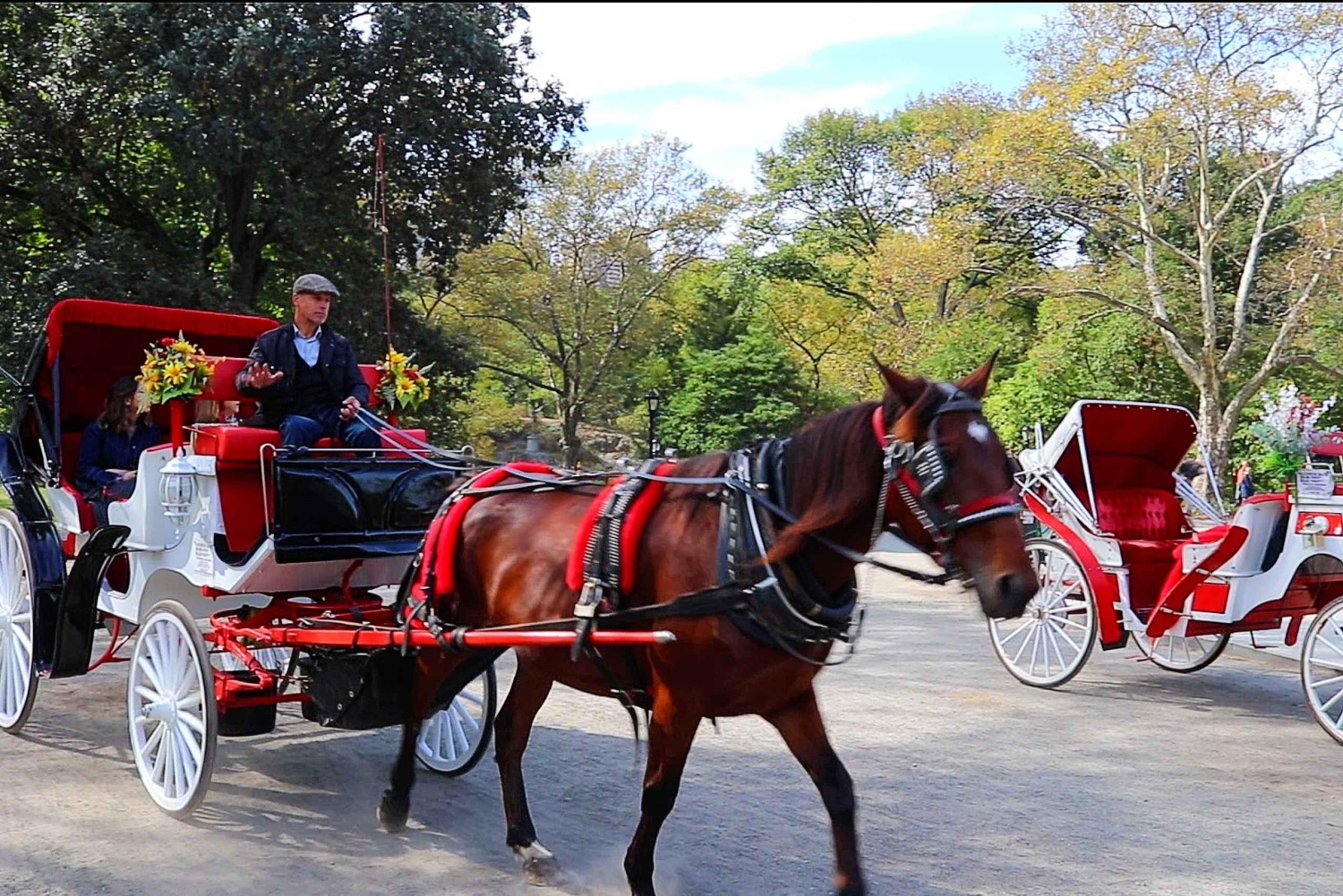 NYC: Guidad standardtur med vagn i Central Park (4 vuxna)