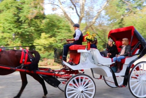 NYC: Guidad standardtur med vagn i Central Park (4 vuxna)