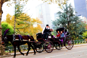 NYC: Guidad standardtur med vagn i Central Park (4 vuxna)
