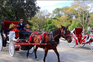 NYC: Guidad standardtur med vagn i Central Park (4 vuxna)