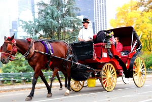 NYC: Guidad standardtur med vagn i Central Park (4 vuxna)