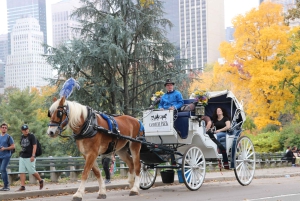 NYC: Guidad standardtur med vagn i Central Park (4 vuxna)