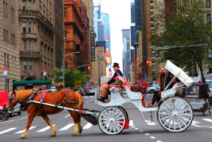 NYC: Guidad standardtur med vagn i Central Park (4 vuxna)