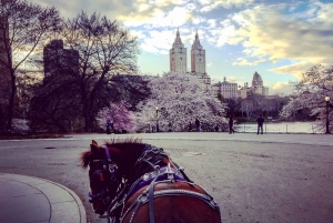 NYC: Guidad standardtur med vagn i Central Park (4 vuxna)