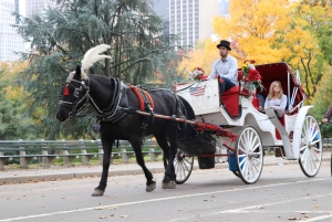 NYC: Guidad standardtur med vagn i Central Park (4 vuxna)