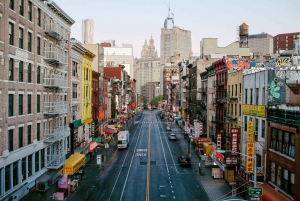 NYC: Wall Street, Little Italy & China Town Tour med guide