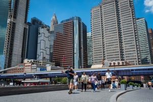 NYC: Halvdags luksusbuss-tur med adgang til Empire State Building