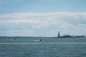 NYC: Halvdags luksusbuss-tur med adgang til Empire State Building