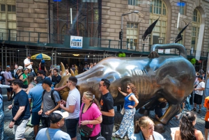 NYC: Halvdags luksusbuss-tur med tilgang til One World