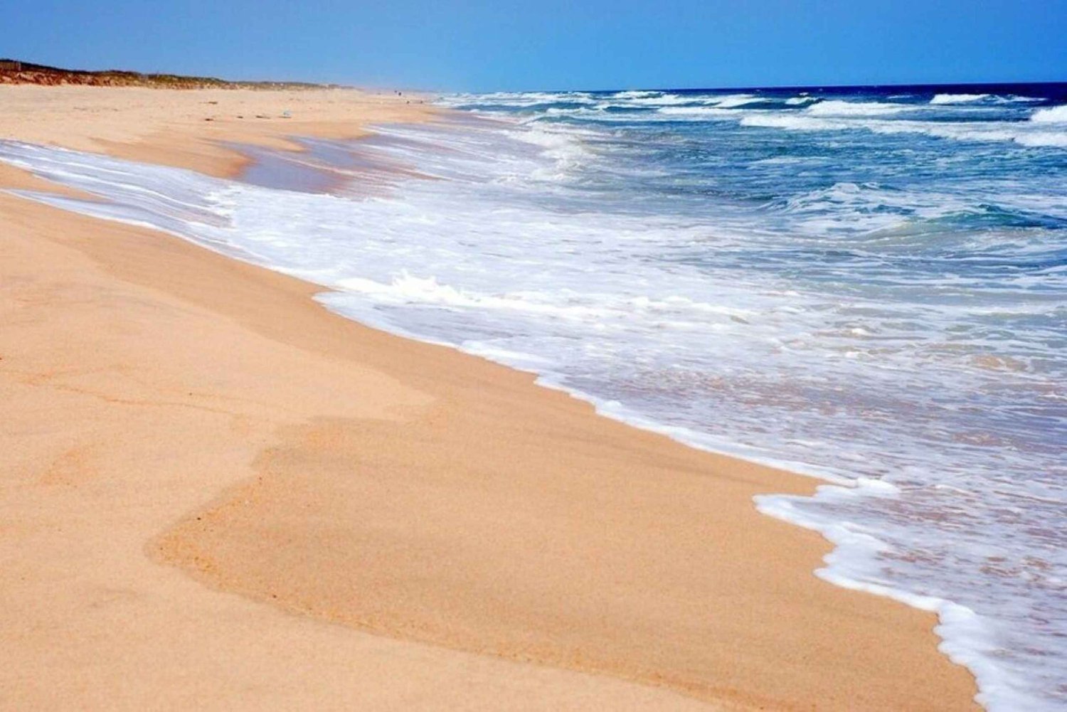 NYC: Hamptons Private Day Tour