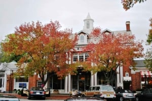 NYC: private Tagestour in die Hamptons