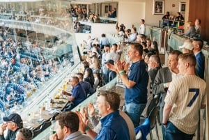 NYC: Excursión de un día por Harlem y el Bronx con partido de béisbol de los Yankees