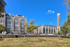 NYC: HARLEM Y THE HEIGHTS Tour a pie privado