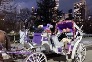 NYC: Guidad tur med häst och vagn i Central Park