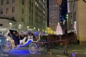 NYC: Giro guidato in carrozza a cavallo a Central Park