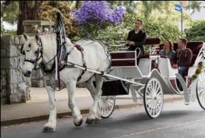 NYC: Passeio guiado de carruagem a cavalo pelo Central Park