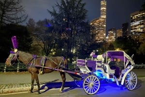 NYC: Passeio guiado de carruagem a cavalo pelo Central Park