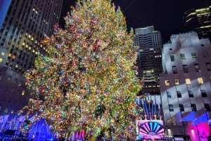 NYC: Holiday Lights Guided Bus Tour