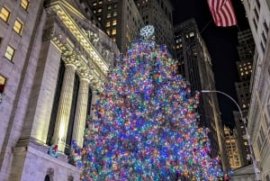 NYC: Holiday Lights Guided Bus Tour
