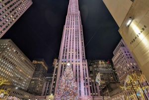 NYC: Holiday Lights guidad busstur
