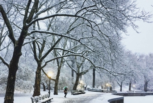 New York: tour delle location di Mamma, ho perso l'aereo 2 e Elf