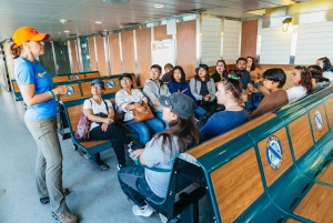 NYC på en dag-tur: Lady Liberty, Times Square, Freedom Tower