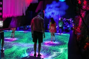 NYC: INTER_ Digital Art Experience Admission Ticket