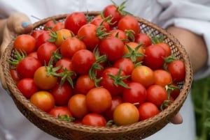NYC: Italian Pasta Making Cooking Classes in Brooklyn