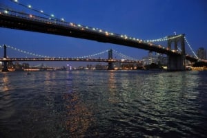 NYC: 4. juli fyrverkerikryss med gourmet-hors d'oeuvres