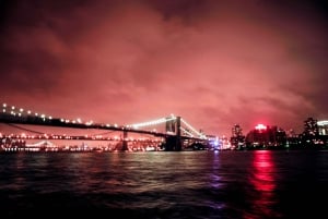 NYC: 4. juli fyrverkerikryss med gourmet-hors d'oeuvres