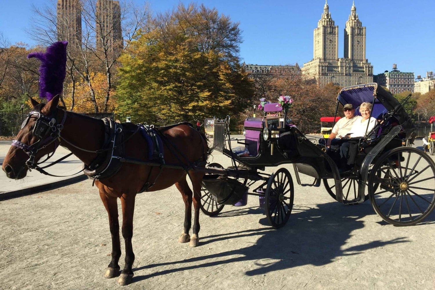 Nova Iorque: Passeio de carruagem pelo Central Park com paragem para fotos
