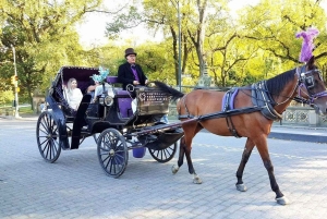 Nova Iorque: Passeio de carruagem pelo Central Park com paragem para fotos