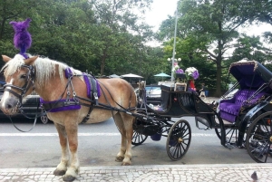 Nova Iorque: Passeio de carruagem pelo Central Park com paragem para fotos