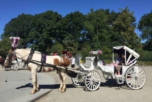 Nova Iorque: Passeio de carruagem pelo Central Park com paragem para fotos